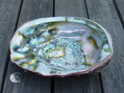The inside surface of an abalone shell