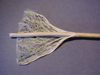 Hemp stem.