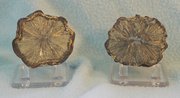 Two halves of a bowl of radiated marcasite from France.