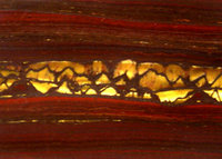 Tiger iron