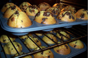 Muffins baking in an oven