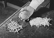 A whole potato, sliced pieces (right), and dried sliced pieces (left)