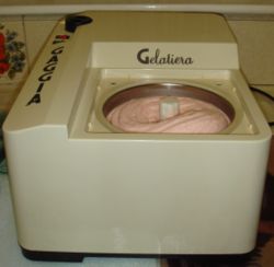 An electric ice cream maker