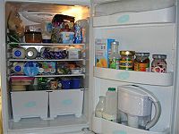 A typical American refrigerator with its door open