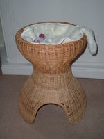 A wickerwork scratching post