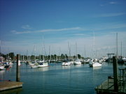Some boats in a harbour.